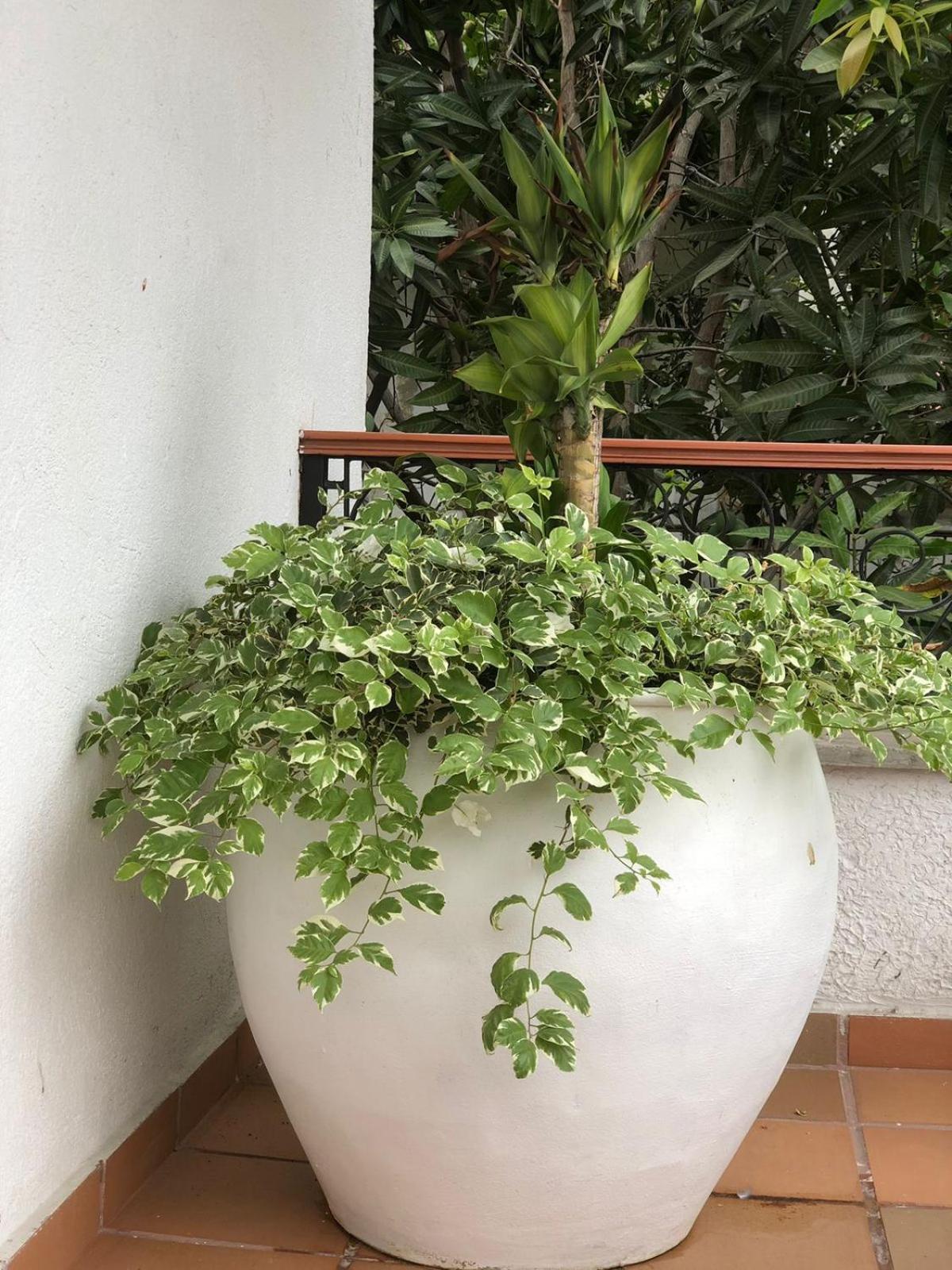 Hotel Casa Bethel Santa Marta  Eksteriør bilde